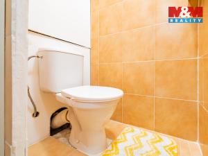 Pronájem bytu 1+kk, Aš, Dobrovského, 19 m2