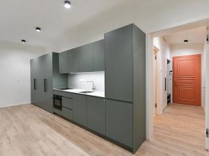 Pronájem bytu 1+kk, Praha - Nusle, Boleslavova, 43 m2