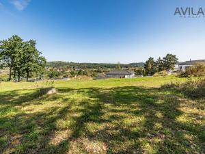 Prodej pozemku pro bydlení, Týnec nad Sázavou - Podělusy, 2273 m2