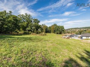 Prodej pozemku pro bydlení, Týnec nad Sázavou - Podělusy, 2273 m2