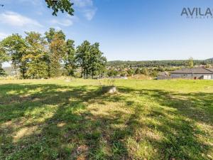 Prodej pozemku pro bydlení, Týnec nad Sázavou - Podělusy, 2273 m2