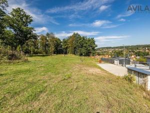 Prodej pozemku pro bydlení, Týnec nad Sázavou - Podělusy, 2273 m2