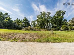 Prodej pozemku pro bydlení, Týnec nad Sázavou - Podělusy, 2273 m2