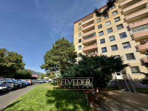 Prodej bytu 1+kk, Teplice, Krušnohorská, 32 m2