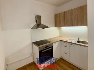 Pronájem bytu 2+kk, České Budějovice, České Vrbné, 52 m2