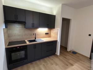 Pronájem bytu 1+1, Ústí nad Labem - Severní Terasa, Kmochova, 33 m2