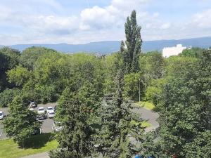 Prodej bytu 2+kk, Teplice, Trnovanská, 40 m2