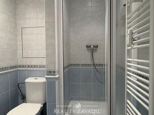 Pronájem bytu 1+kk, Praha - Chodov, Ke škole, 30 m2