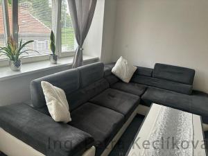 Pronájem bytu 1+1, Brno - Staré Brno, Kopečná, 44 m2