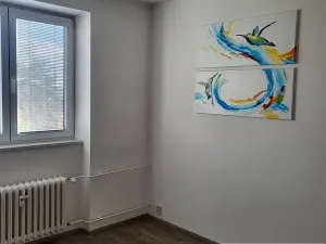 Pronájem bytu 2+1, Brno, Merhautova, 61 m2