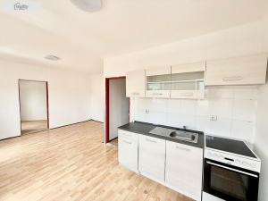Prodej rodinného domu, Chabařovice, Nádražní, 345 m2