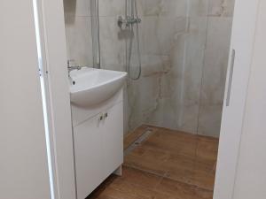 Pronájem bytu 2+1, Opava - Předměstí, Oblouková, 60 m2