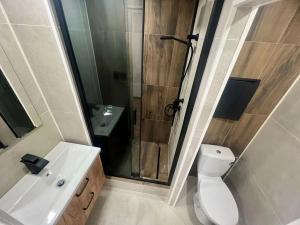 Pronájem bytu 2+kk, Most, Lidická, 42 m2