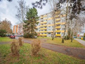 Pronájem bytu 1+1, Zábřeh, Severovýchod, 31 m2