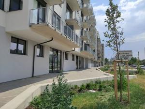 Pronájem obchodního prostoru, Brno, Střední, 55 m2