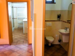 Prodej rodinného domu, Hodonín, Plucárna, 303 m2