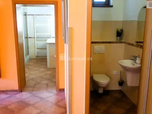 Prodej rodinného domu, Hodonín, Plucárna, 303 m2