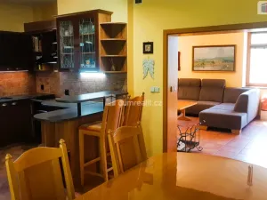 Prodej rodinného domu, Hodonín, Plucárna, 303 m2