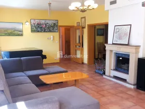 Prodej rodinného domu, Hodonín, Plucárna, 303 m2