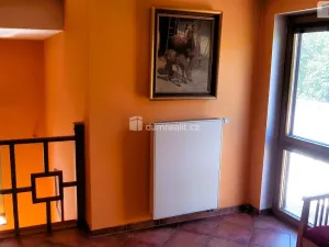 Prodej rodinného domu, Hodonín, Plucárna, 303 m2