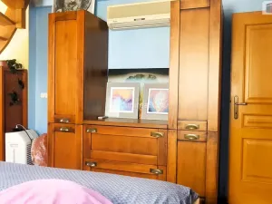 Prodej rodinného domu, Hodonín, Plucárna, 303 m2