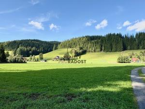 Prodej komerčního pozemku, Velké Karlovice, 45173 m2