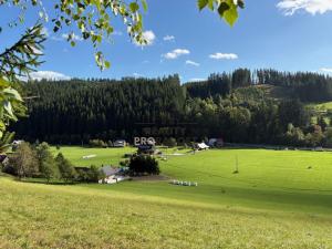 Prodej komerčního pozemku, Velké Karlovice, 45173 m2