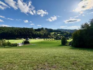 Prodej komerčního pozemku, Velké Karlovice, 45173 m2