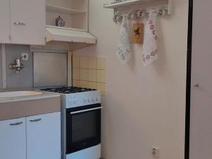 Prodej bytu 1+1, Třebíč, Modřínová, 36 m2