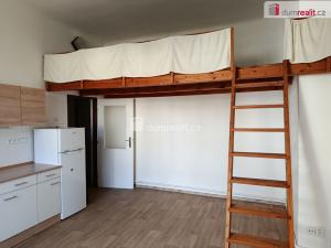 Pronájem bytu 1+kk, Praha - Žižkov, Kubelíkova, 26 m2