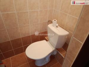 Pronájem bytu 1+kk, Praha - Žižkov, Kubelíkova, 26 m2