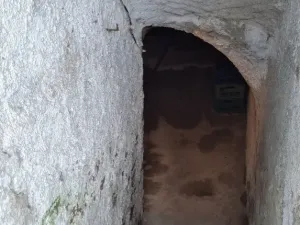 Prodej zemědělské usedlosti, Medlov, 450 m2