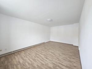 Pronájem rodinného domu, Uherský Ostroh - Kvačice, Hradišťská, 90 m2