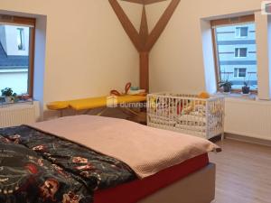 Prodej rodinného domu, Děčín - Děčín II-Nové Město, Nedbalova, 490 m2