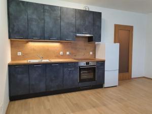 Pronájem bytu 1+kk, Praha - Holešovice, U průhonu, 36 m2