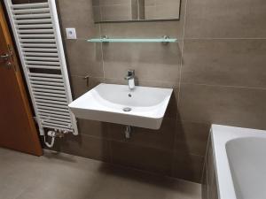 Pronájem bytu 1+kk, Praha - Holešovice, U průhonu, 36 m2