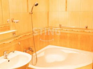 Pronájem bytu 1+1, Karviná, tř. 17. listopadu, 36 m2