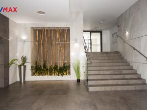 Pronájem bytu 2+kk, Praha - Žižkov, Olšanská, 66 m2