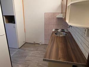 Pronájem bytu 1+1, Chomutov, Školní pěšina, 38 m2