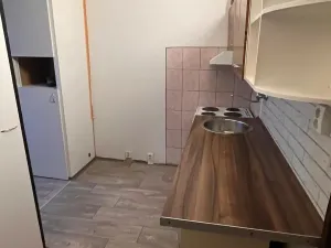 Pronájem bytu 1+1, Chomutov, Školní pěšina, 38 m2