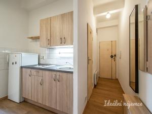 Pronájem bytu 1+kk, Praha - Košíře, Plzeňská, 35 m2