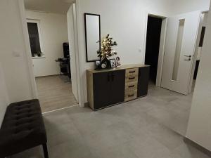 Pronájem bytu 3+kk, Plzeň - Bolevec, Studentská, 93 m2