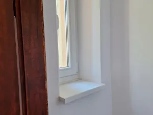 Pronájem bytu 1+1, Plzeň, Dvořákova, 58 m2