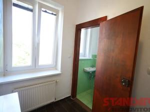 Pronájem bytu 1+1, Plzeň, Dvořákova, 58 m2