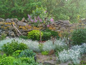 Prodej rodinného domu, Radonice - Ždov, 180 m2