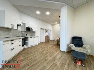 Pronájem bytu 3+kk, Frýdek-Místek - Místek, Havlíčkova, 110 m2