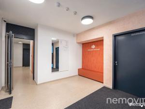 Pronájem bytu 2+kk, Praha, Muzikova, 47 m2