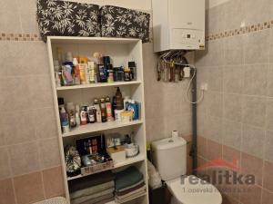 Prodej bytu 2+1, Opava - Předměstí, Nákladní, 82 m2