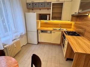 Pronájem bytu 2+1, Plzeň - Východní Předměstí, Koterovská, 56 m2