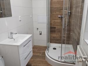 Pronájem bytu 1+1, Opava - Předměstí, U Hliníku, 46 m2